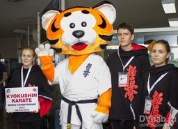 Тигренок Хабрик, символ чемпионата мира по Киокушинкай карате, встретил в аэропорту Хабаровска японскую делегацию