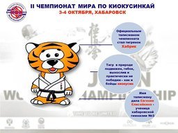 Несколько фактов о готовящемся в Хабаровске Чемпионате мира по киокусинкай