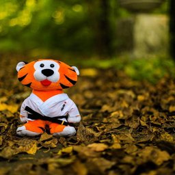 Организаторы Чемпионата мира по карате решили подарить тигренка Хабрика всем детям Хабаровского края, родившихся во время турнира