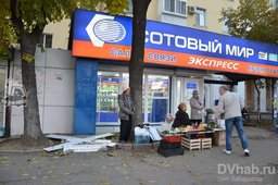 Антисанитарию устроили уличные торговцы в центре Хабаровска Антисанитарию устроили уличные торговцы в центре Хабаровска