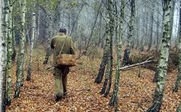Советы от МЧС России - "Как не заблудиться в лесу"