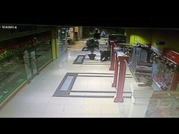 Медведь забежал в торговый центр на Пионерской в Хабаровске (ВИДЕО) Медведь забежал в торговый центр на Пионерской в Хабаровске (ВИДЕО)