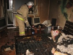 При тушении пожара в городе Комсомольске пожарные спасли собаку