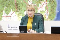 Депутаты рассмотрели изменения в краевой бюджет на 2015 год