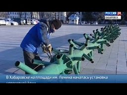 В Хабаровске приступили к установке главной новогодней ёлки города до 5 декабря