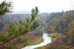 В Хабаровском крае создан природный парк «Шереметьевский»