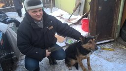 Спасенным собакам в Хабаровске нужны деньги на еду и время для социализации
