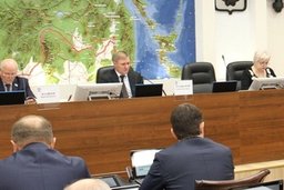 Два новых закона приняли депутаты краевого парламента