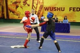 Дальневосточные Юношеские игры боевых искусств пройдут в Хабаровске
