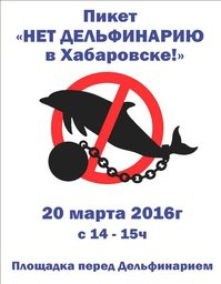 В краевую столицу прибыл во второй раз передвижной дельфинарий В краевую столицу прибыл во второй раз передвижной дельфинарий