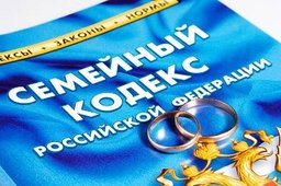 Ирина Штепа: «Назрела необходимость системного совершенствования семейного законодательства» Ирина Штепа: «Назрела необходимость системного совершенствования семейного законодательства»