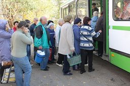 Хабаровским пенсионерам-дачникам компенсируют проезд к садовым участкам