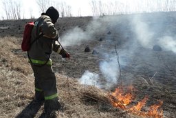 Пожароопасный сезон открыт в Хабаровском крае