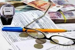 Жители края поднимают вопрос об ужесточении законодательства в отношении неплательщиков за услуги ЖКХ