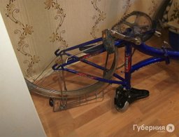 Жительница Хабаровска: Сосед избил моего сына из-за сломанного велосипеда