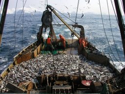 Президент России подписал закон о введении инвестиционных квот для развития рыбохозяйственной отрасли