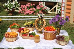 Хабаровск увидит лучшие дары лета на выставке в парке «Динамо»